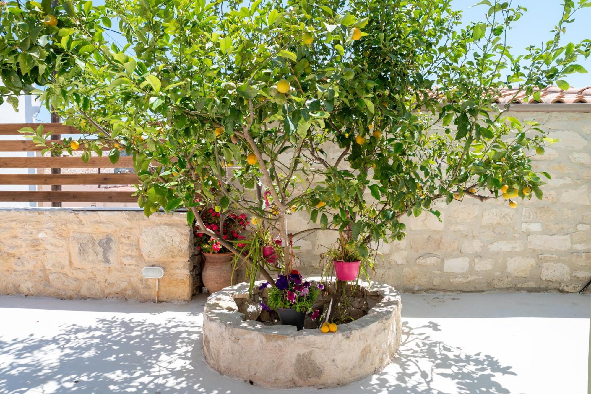 Calliope'S House In Knossos Villa Exterior photo